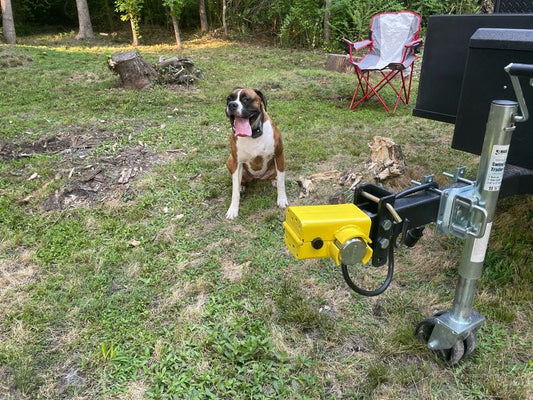 The Ultimate Guide to Camping with Your Furry Bestie: Tips and Tricks for Pet-Friendly Adventures